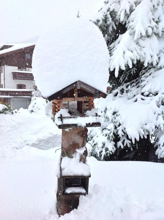 Ferienwohnung Haus Amann Berwang Exterior foto